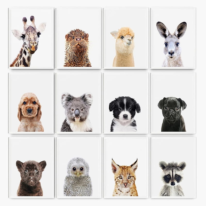 Baby animal print HD wallpapers | Pxfuel
