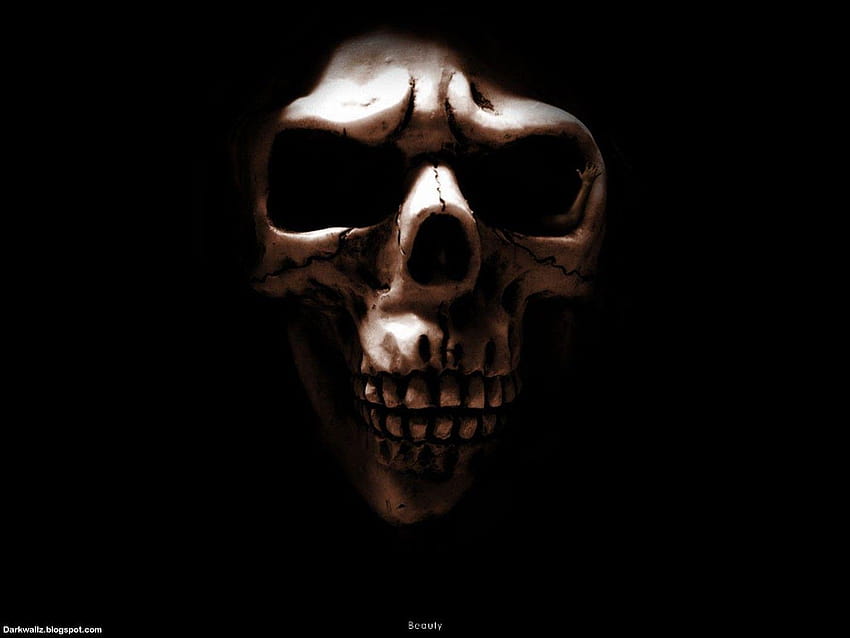 Gothic Skull » Extra, skeleton head HD wallpaper
