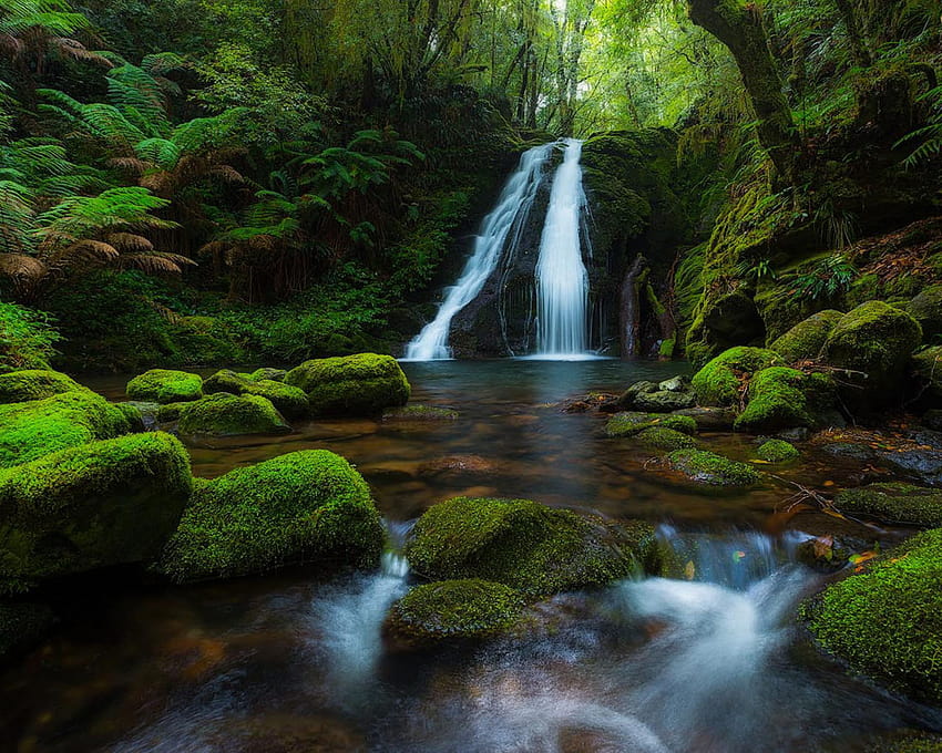 Parque nacional de Nueva Inglaterra Australia Selva tropical Cascada Rocas Musgo Verde Fores Tree папрат Ultra Waterfall 1920x1200: 13 fondo de pantalla