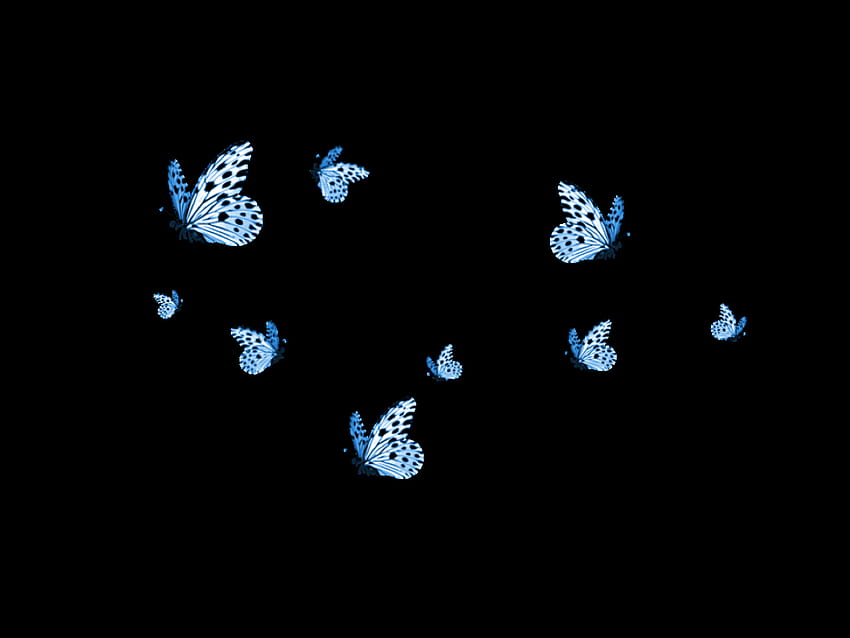 Emoji Tumblr Blue Butterfly Aesthetic, butterfly pc tumblr HD wallpaper