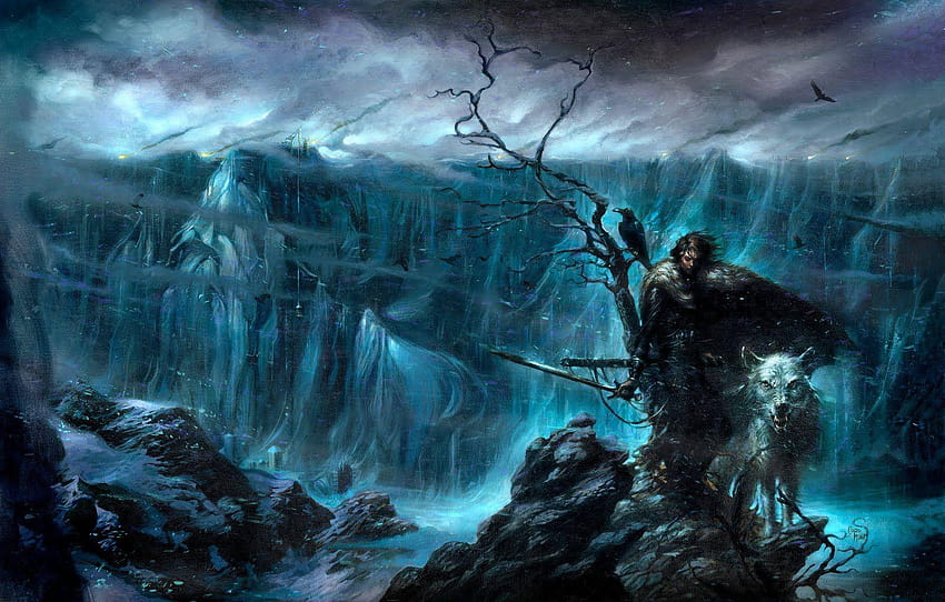 Game of Thrones Song of Ice and Fire fantasy Jon Snow Wolf Direwolf, lupo di fuoco contro lupo di ghiaccio Sfondo HD