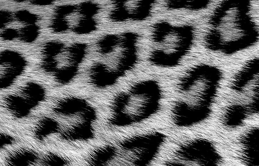 Snow Leopard Print, black leopard print HD wallpaper