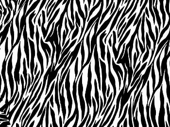 zebra print wallpapers