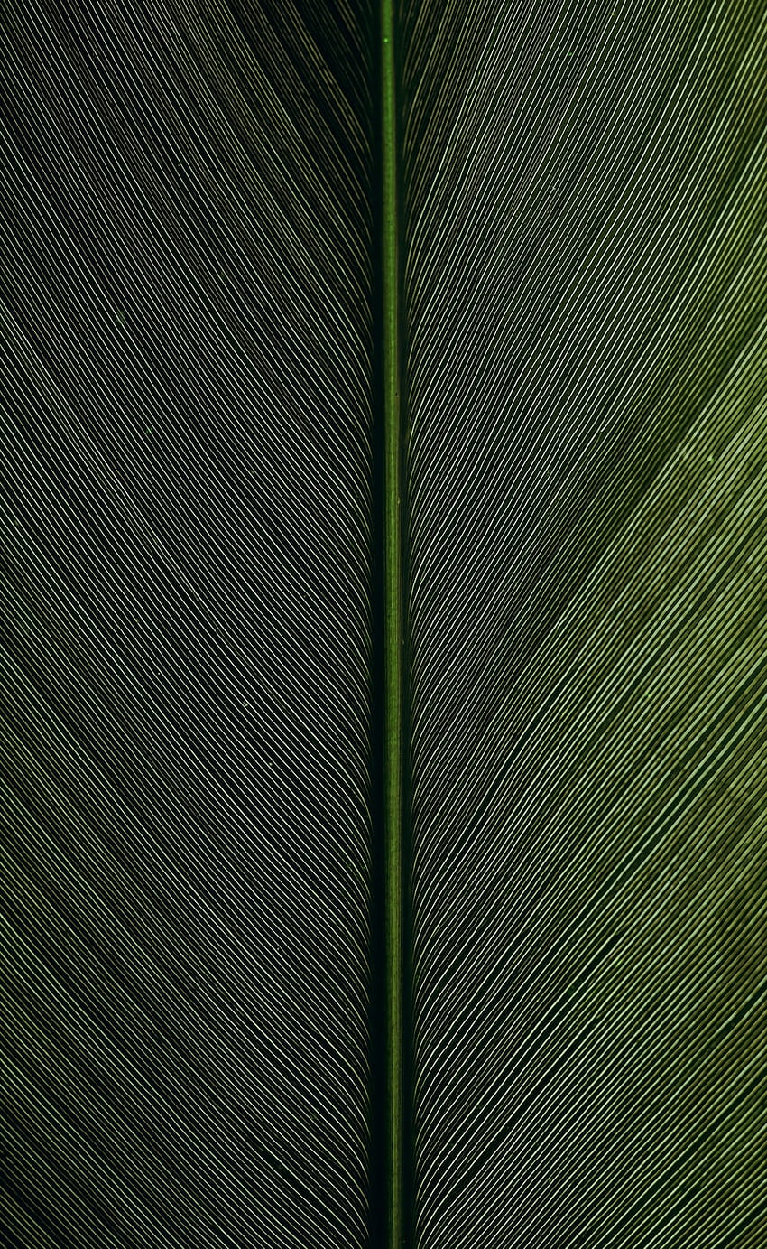 varilla de metal verde sobre tela a rayas en blanco y negro – Textura fondo de pantalla del teléfono