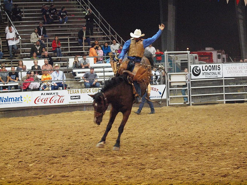 Pasadena Texas Professional Rodeo Cowboys Association PRCA…, bronc riding HD wallpaper