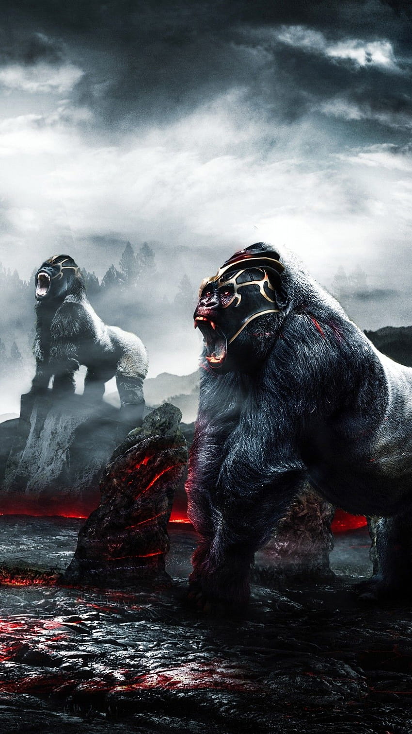 Angry Gorilla, fire gorilla HD phone wallpaper
