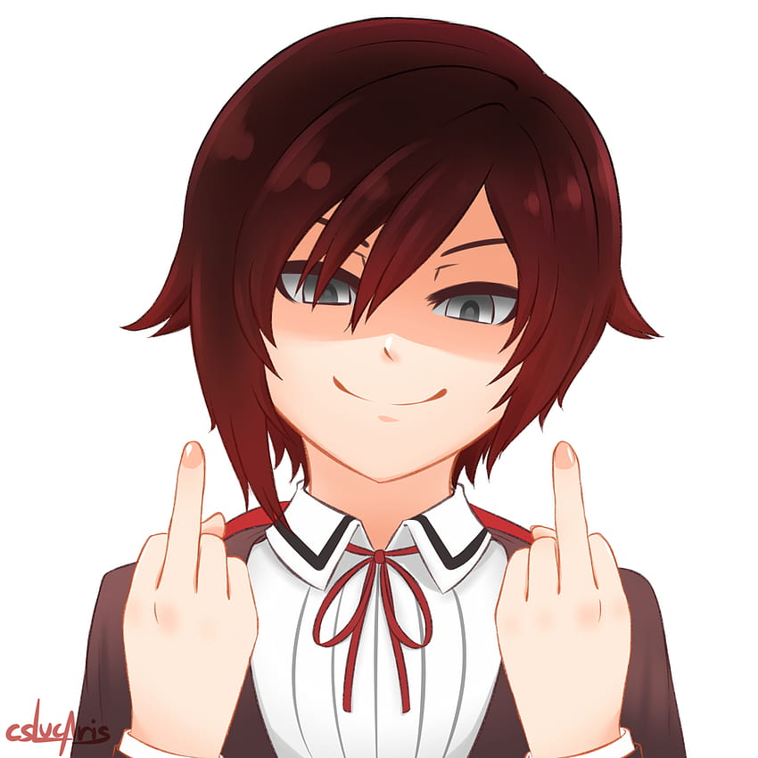 Anime Middle Finger Up HD phone wallpaper  Pxfuel