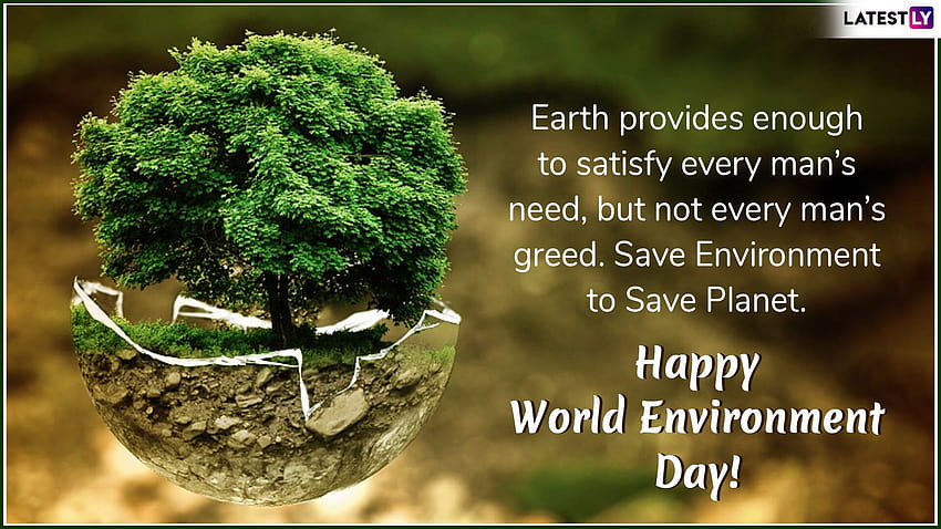 Szczęśliwego Światowego Dnia Ochrony Środowiska 2020 Cytaty i życzenia ŚR: WhatsApp, dzień ochrony środowiska Tapeta HD