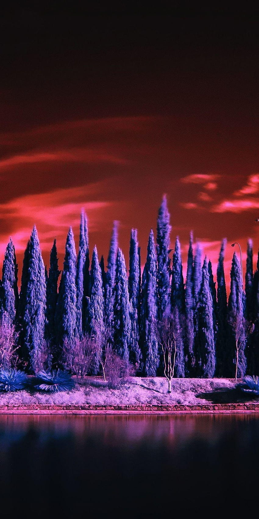Cypress, trees, lake, infrared, 1080x2160, infrared landscape HD phone wallpaper