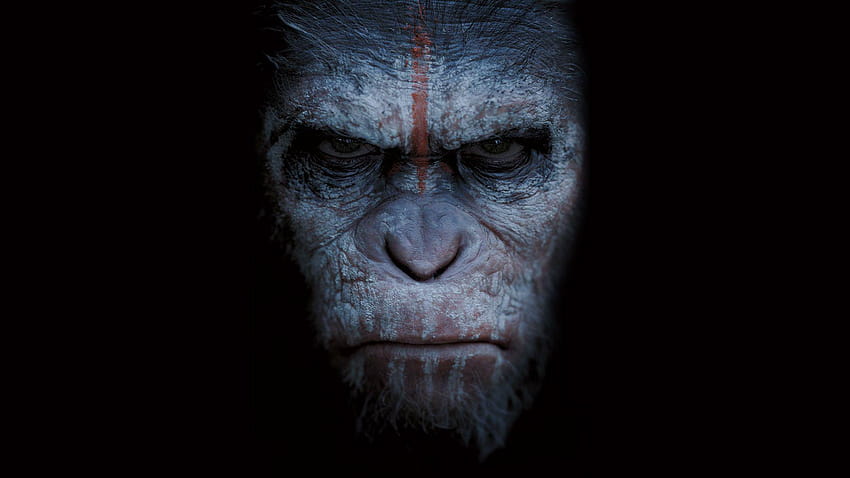 War For The Planet Of The Apes Alta Qualidade papel de parede HD