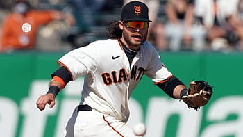 Brandon Crawford Wallpaper - Download to your mobile from PHONEKY