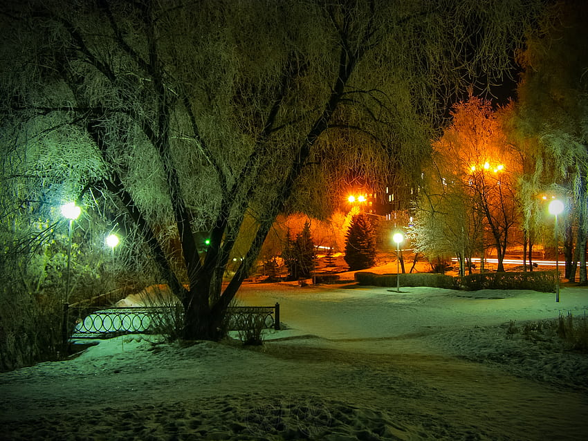 自然、風景、建築、橋、公園、庭、パス、歩道、道路、夜、ライト、冬、雪、季節、寒さ、ランプ、ポスト、木、風光明媚な、色、明るい、場所/およびモバイルの背景、冬の夜 ライト 高画質の壁紙