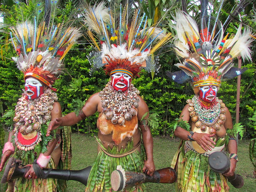 2500x1875 Kolorowy podgląd Papui-Nowej Gwinei Tapeta HD