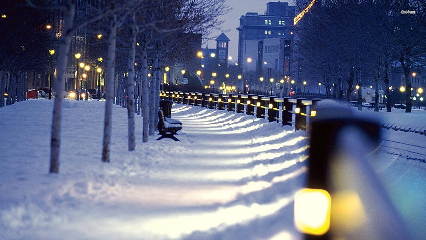 Montreal Winter, winter city HD wallpaper