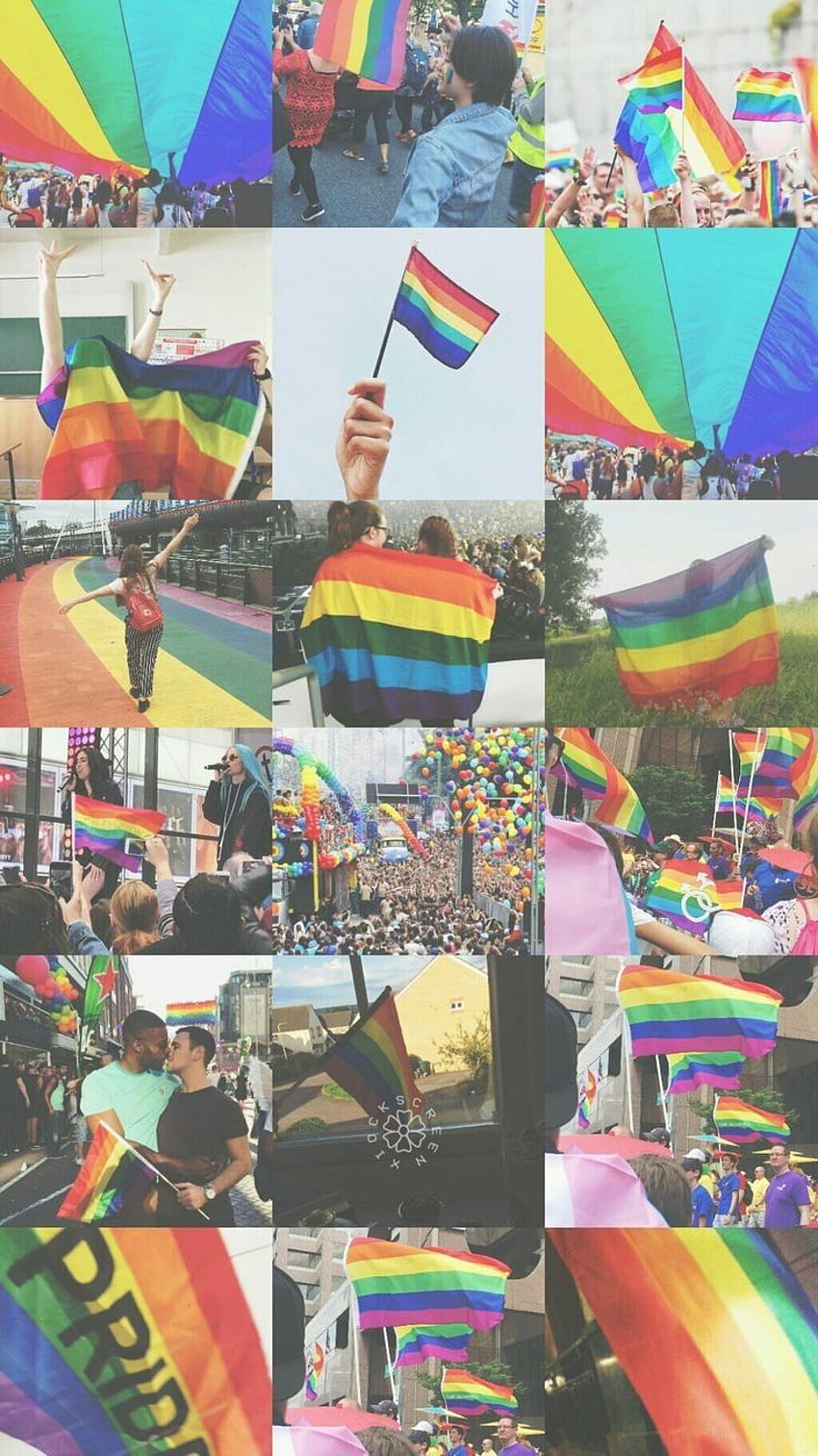 Aesthetic, Book, lgbt aesthetic collage HD phone wallpaper