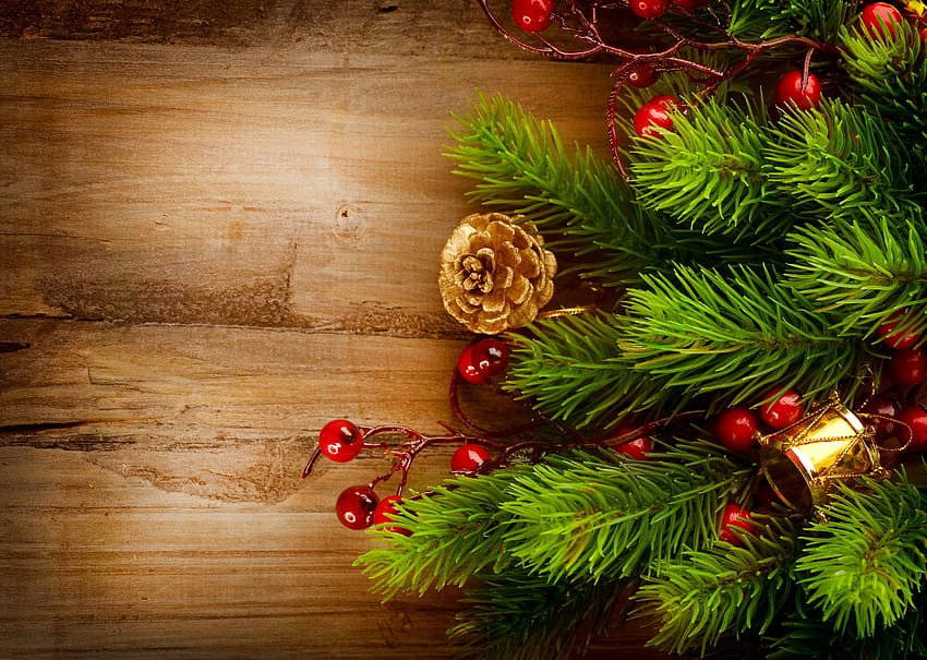 Die besten 3 Tannenzapfen auf der Hüfte, Weihnachtskiefern HD-Hintergrundbild