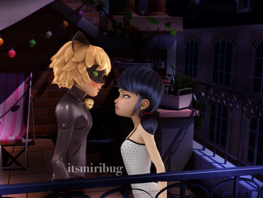 Marinette being angry because Chat Noir woke her up HD wallpaper | Pxfuel