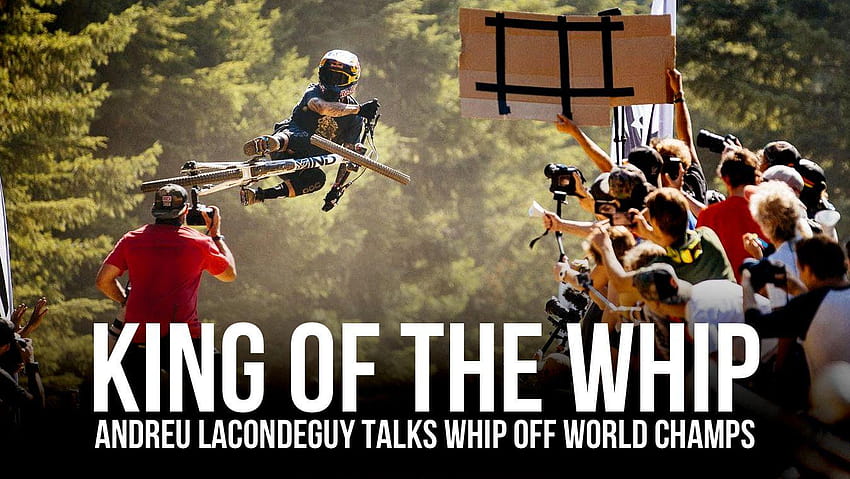 KING OF THE WHIP, andreu lacondeguy HD wallpaper