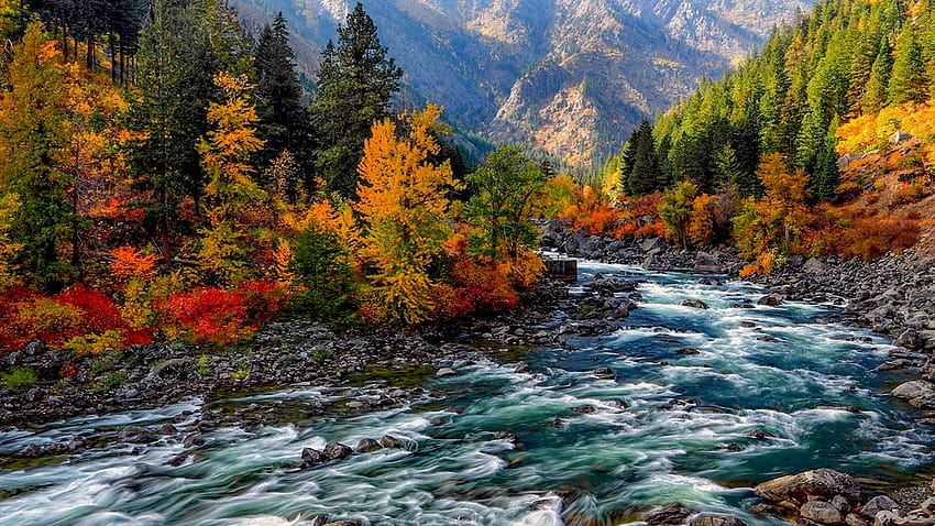 Landscape Autumn Mountain Yellow And Red Leaves On Trees, River Stones ...