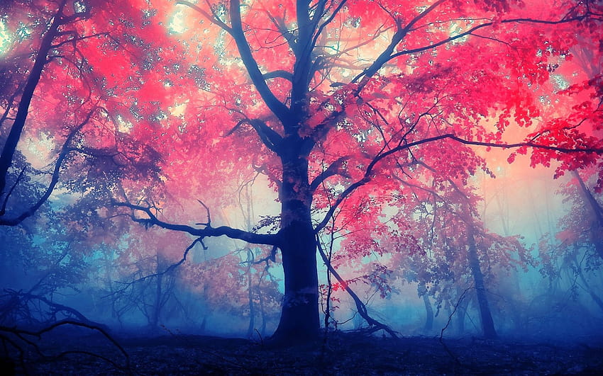 árbol rojo animado fondo de pantalla