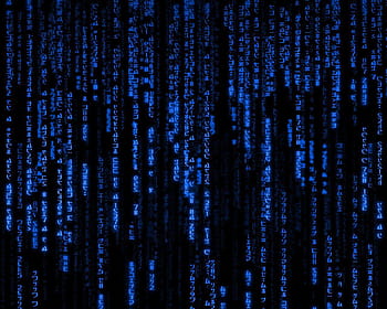 Animated Matrix Group, full gifs animados HD wallpaper | Pxfuel