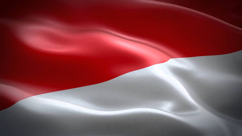 Animasi Bendera Indonesia HD wallpaper