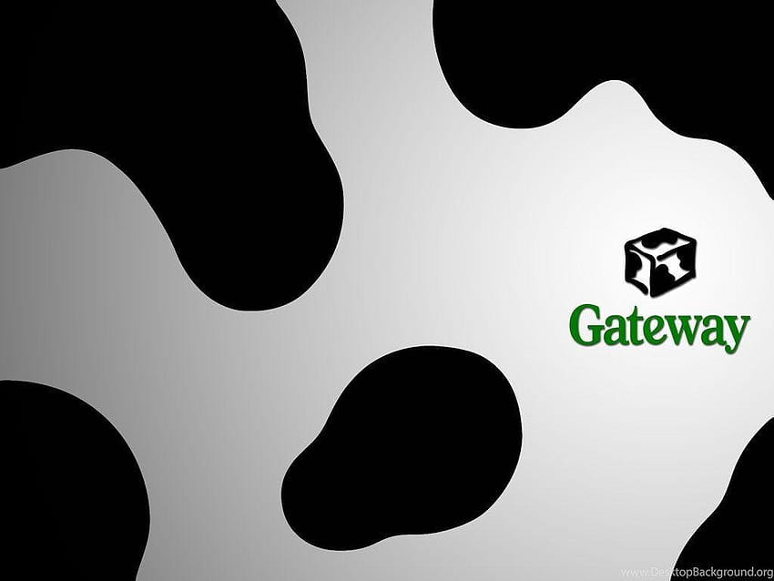 Cow Gateway 1024x768 Backgrounds HD wallpaper