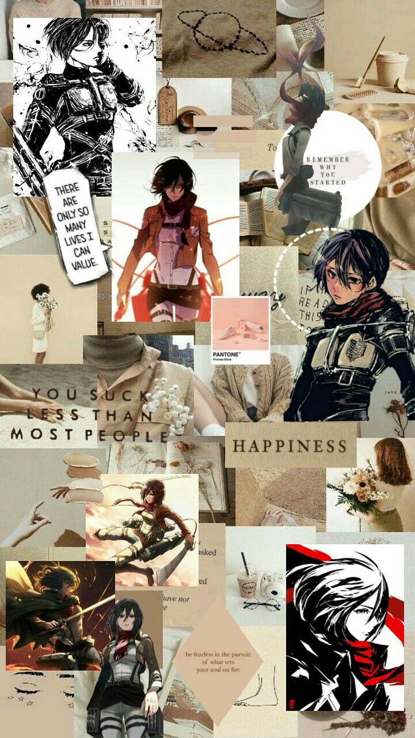 Download Mikasa Pfp Kick Wallpaper | Wallpapers.com