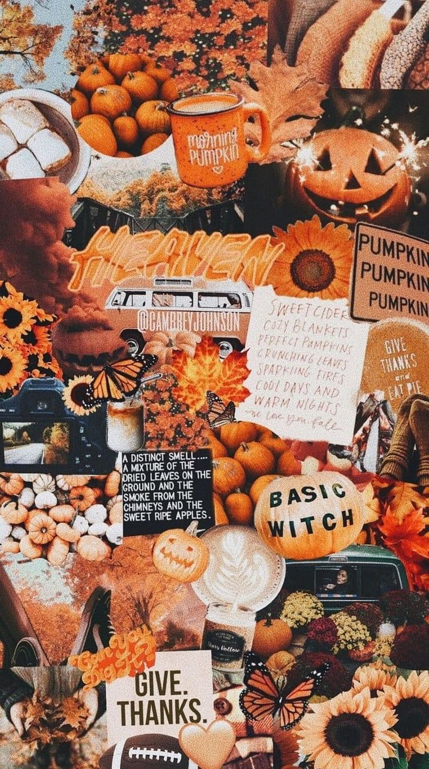 aesthetic in w a l l p a p e r s, pumpkins autumn HD phone wallpaper