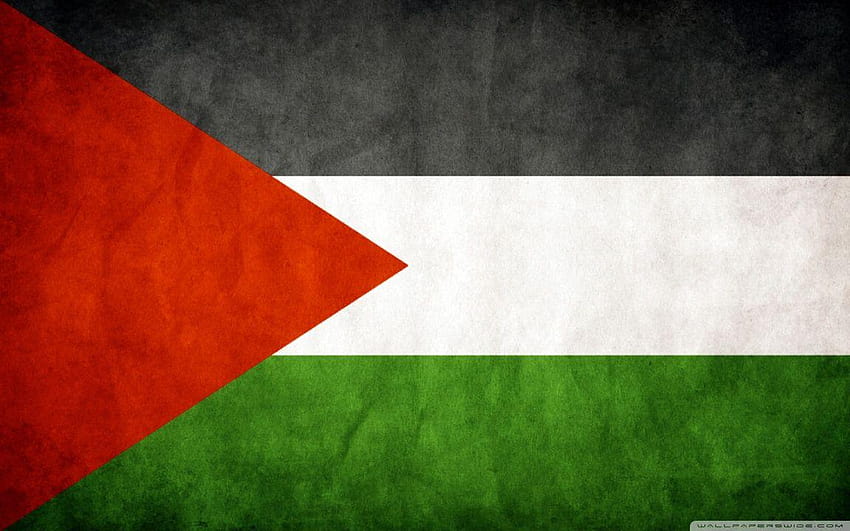 bandeira da Palestina de fundo papel de parede HD