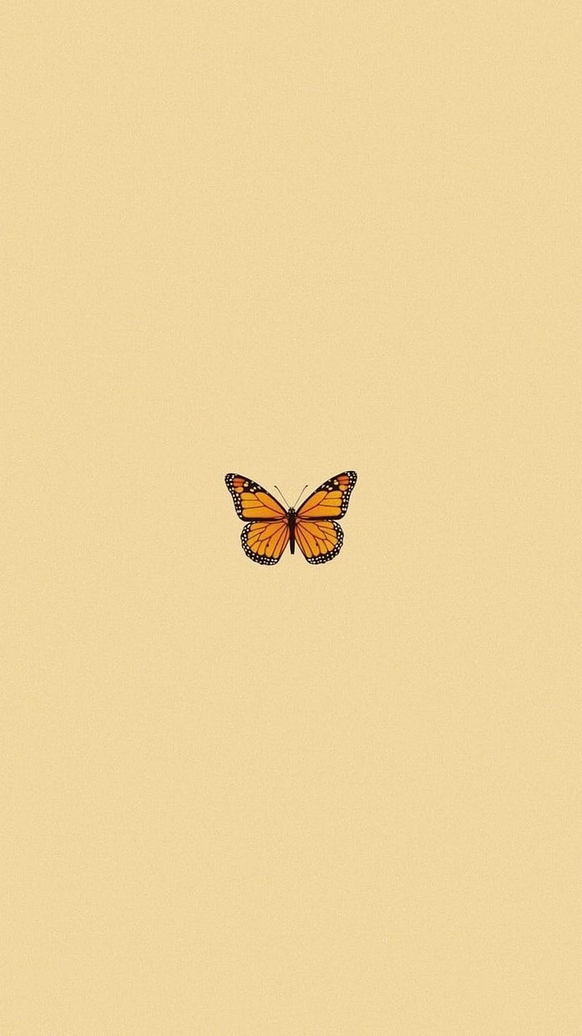 Kupu-kupu, gadis lembut estetika wallpaper ponsel HD