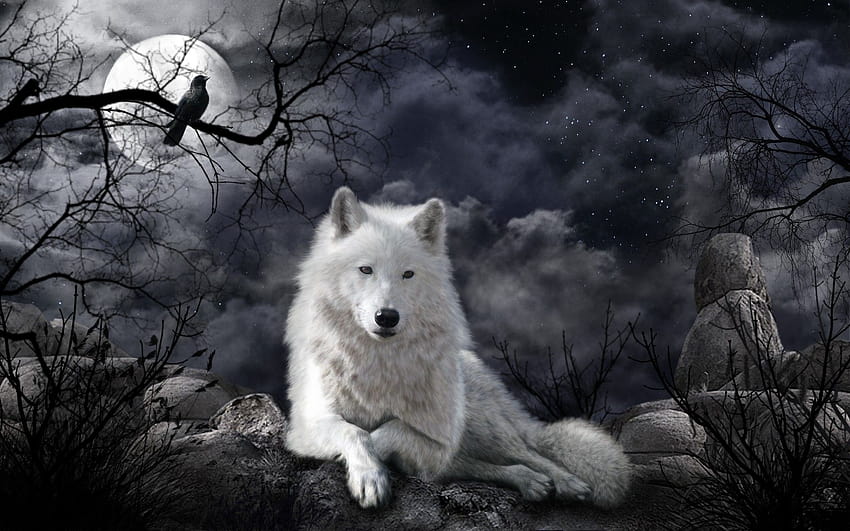 Game of Thrones Wolf, game of thrones ghost HD wallpaper