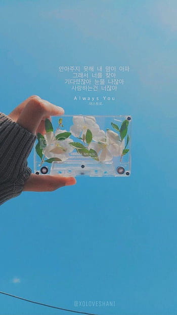 desktop wallpaper aesthetic pastel korean posted by sarah cunningham cute kpop aesthetic thumbnail