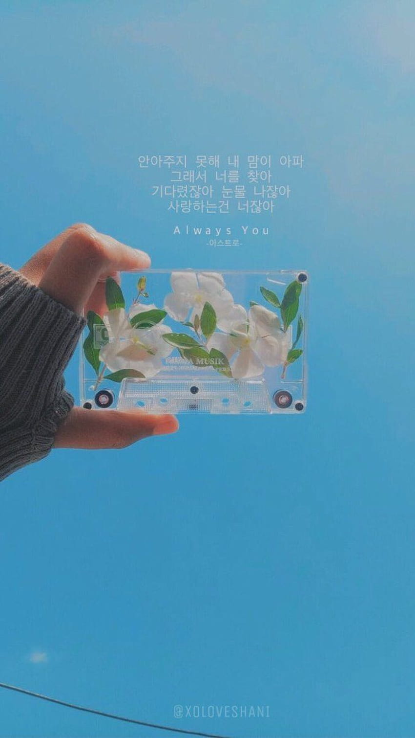美的パステル韓国語投稿者サラ・カニンガム、かわいいkpop美学 HD電話の壁紙