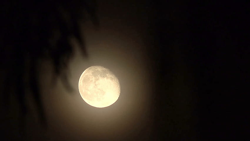tight waning gibbous moon super detail v2 Stock Video Footage HD wallpaper