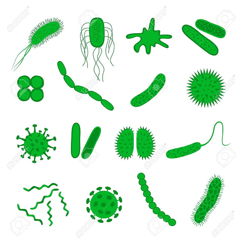 Conjunto de ícones de germes e bactérias isolado em branco Papel de parede de celular HD