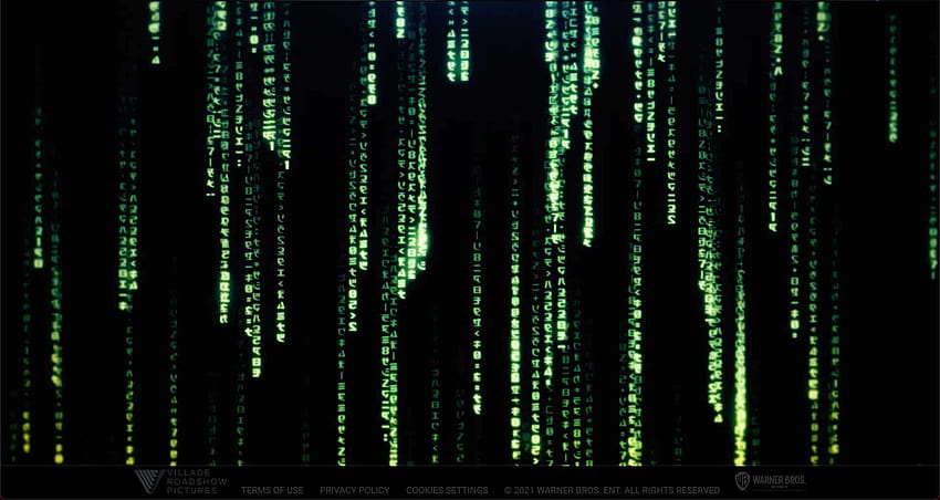 Original Matrix website comes back to life as Matrix 4 trailer confirmed, the matrix 4 resurrections HD wallpaper