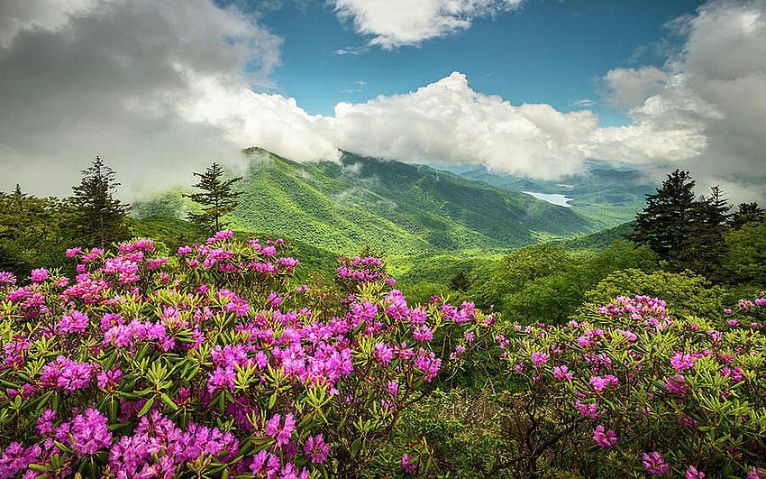 Pegunungan Appalachian North Carolina Blue Ridge Parkway Spring Wallpaper HD