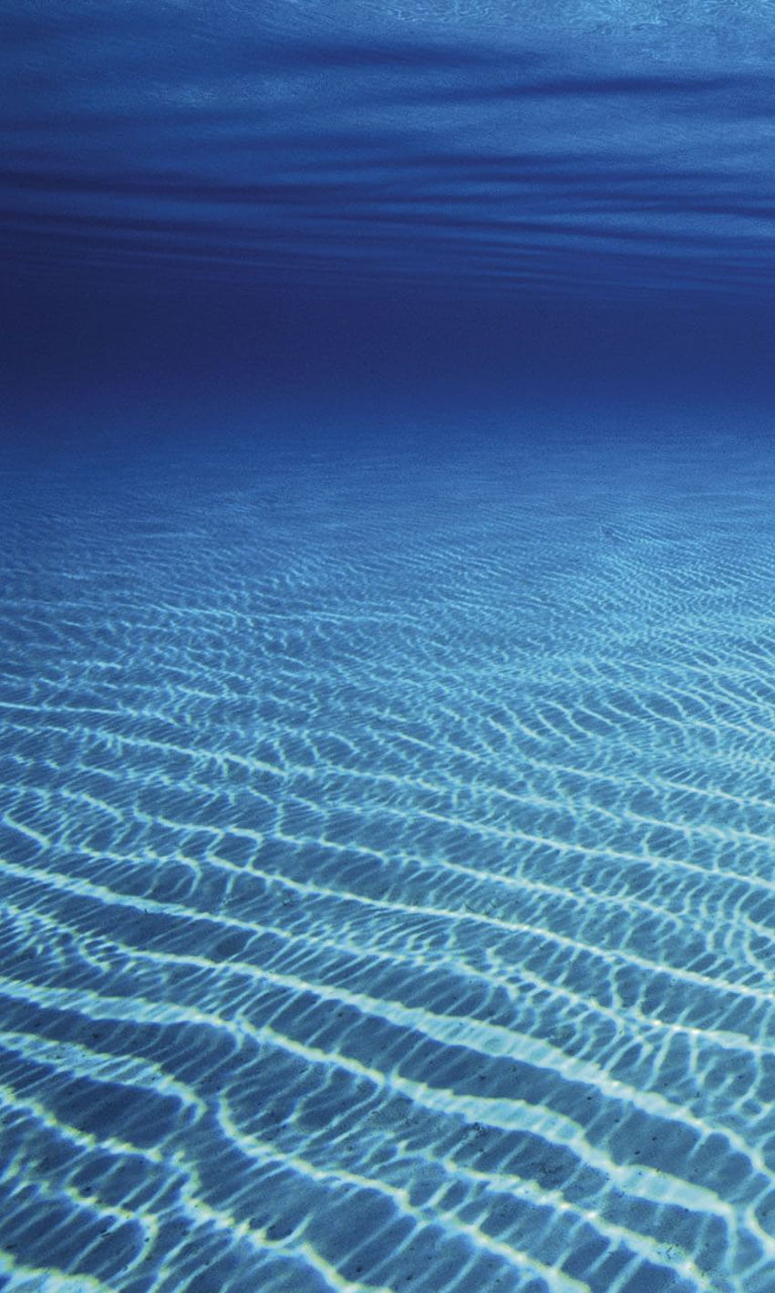 Ocean Floor, fundo do mar Papel de parede de celular HD