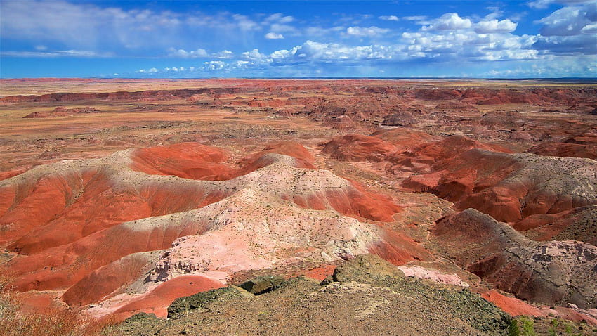 Landscape : View of Petrified Forest National Park HD wallpaper