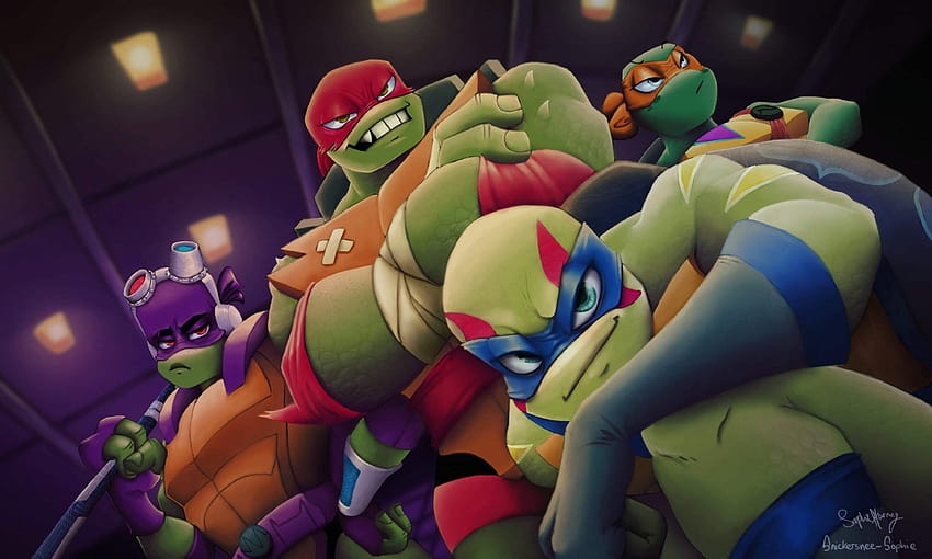 Rottmnt for HD wallpapers  Pxfuel