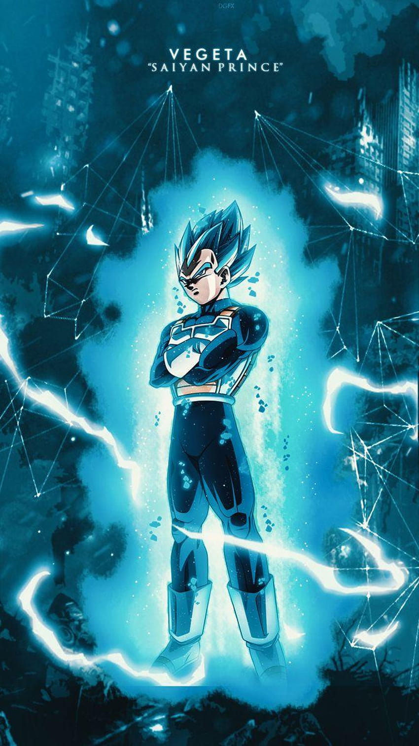 Goku And Vegeta Black Suit Anime Movie