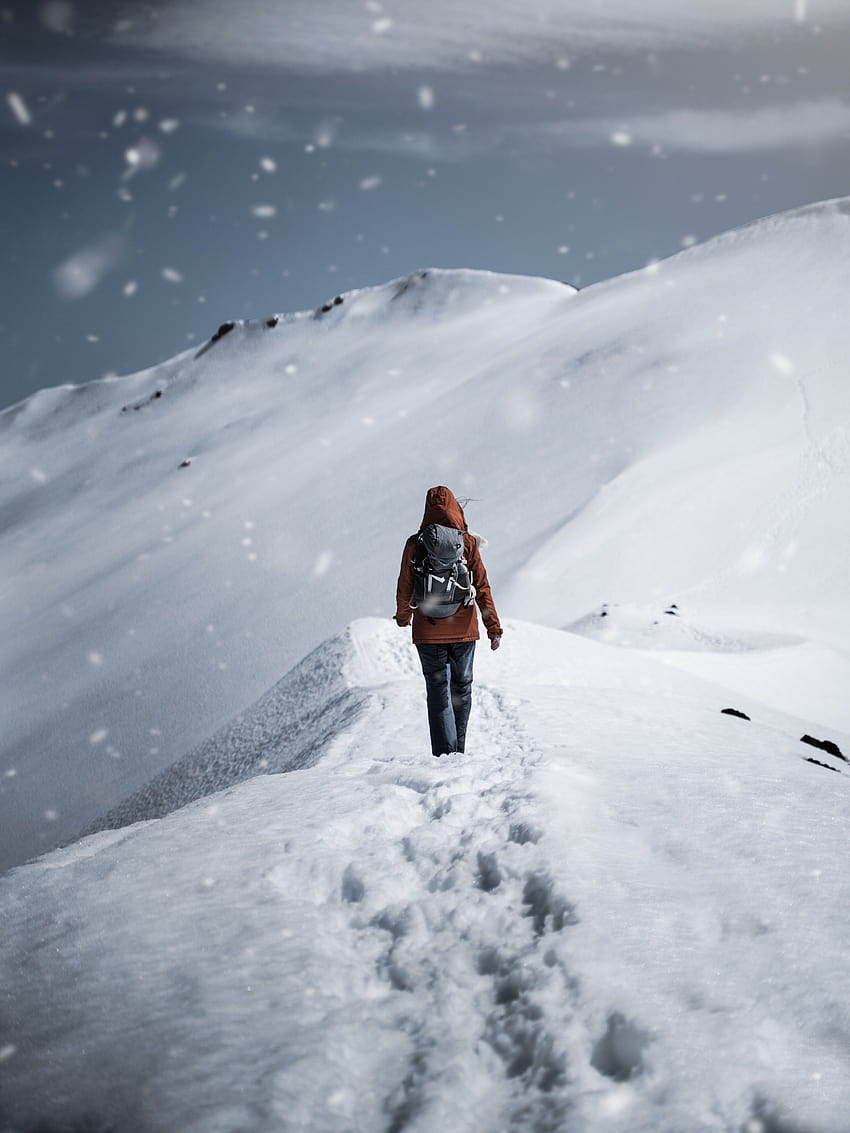 คนเดินบนหิมะ · สต็อก เดินในฤดูหนาวที่เต็มไปด้วยหิมะ วอลล์เปเปอร์โทรศัพท์ HD