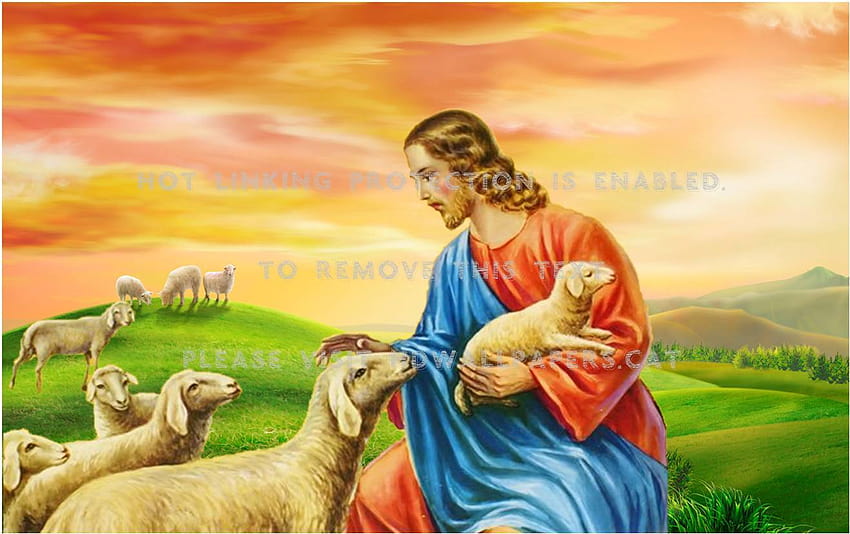 dobry pasterz jezus owca bóg chrystus ewangelia Tapeta HD