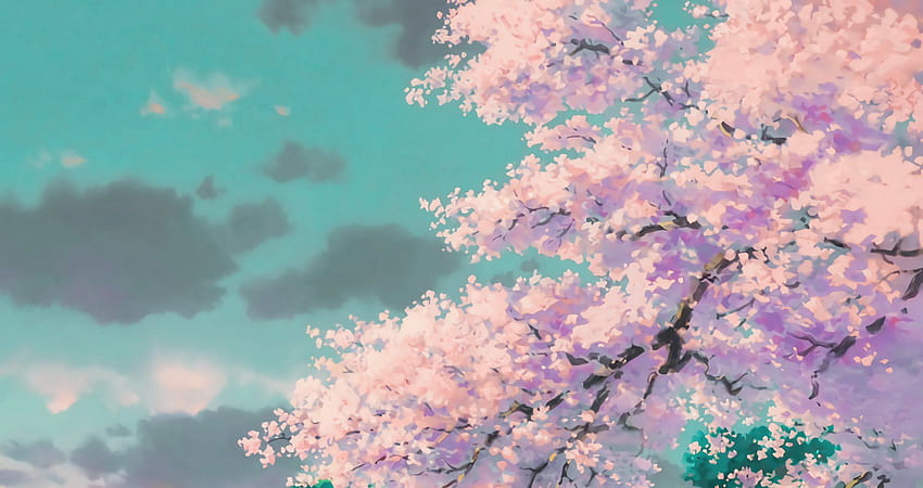 Twitter'da Studio Ghibli, Ghibli PC HD duvar kağıdı