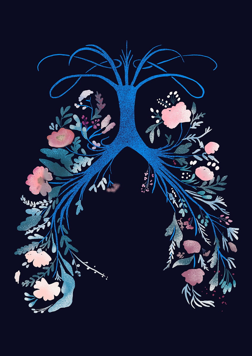 Lung drawing of five feet apart lungs HD phone wallpaper