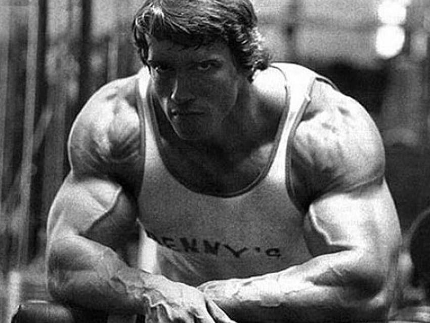 Bodybuilding di Arnold Schwarzenegger, bodybuilding di Arnold Sfondo HD