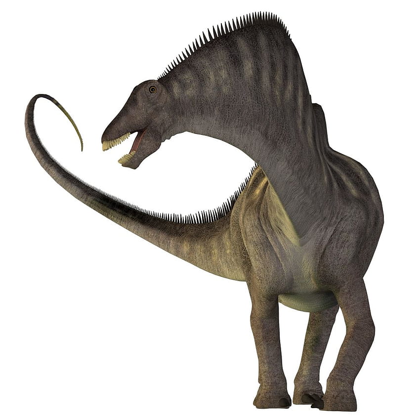 Amargasaurus-Dinosaurier Amargasaurus war ein pflanzenfressender Sauropod HD-Handy-Hintergrundbild