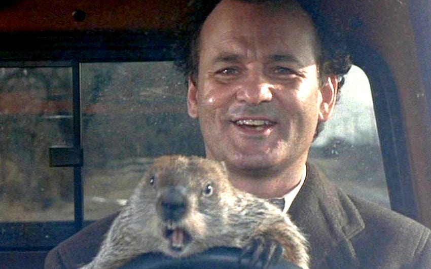5 Fun Facts About the Movie Groundhog Day, groundhog day movie HD wallpaper