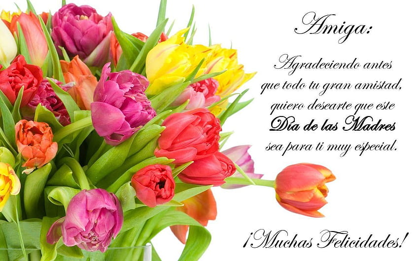 Feliz Día de las Madres!, feliz dia de la madre HD wallpaper
